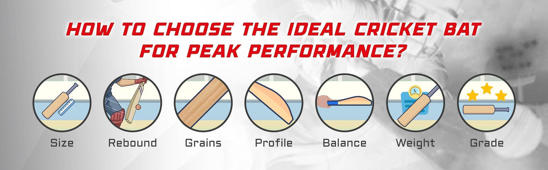 How Do International Cricketers Choose Their Cricket Bat: Key Factors For Choosing The Right Cricket Bat