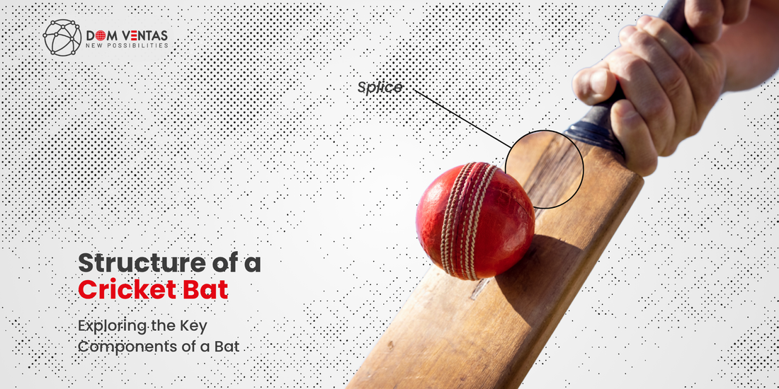 Structure Of Cricket Bat: Exploring the Key Components of a Cricket Bat