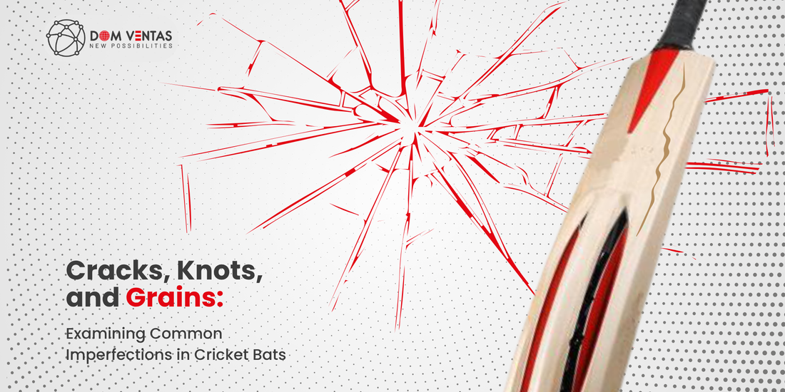Cracks, Knots, and Grains: Examining Common Imperfections in Cricket bats