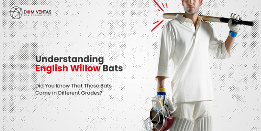 Understanding Grades 1 to 5 of English Willow Cricket Bats