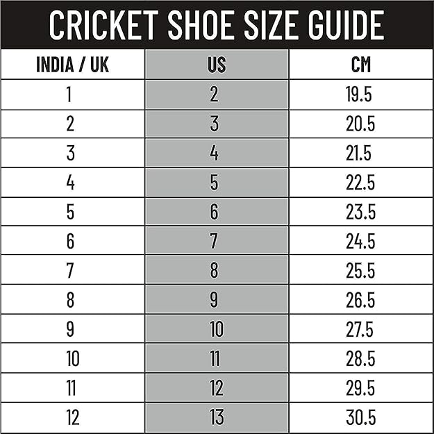 DSC Cricket Shoes