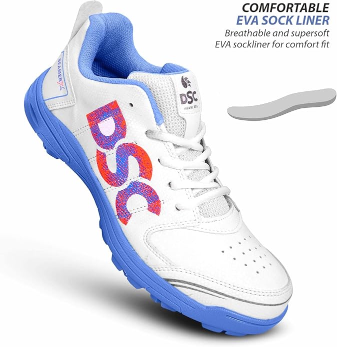 DSC Cricket shoe