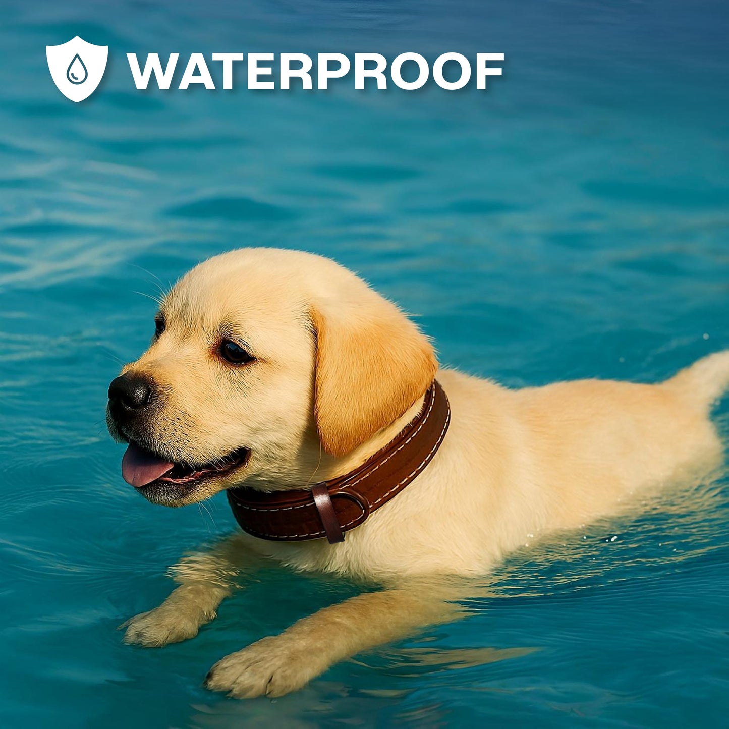 Dog swimming in water with 'Waterproof' text and logo above.