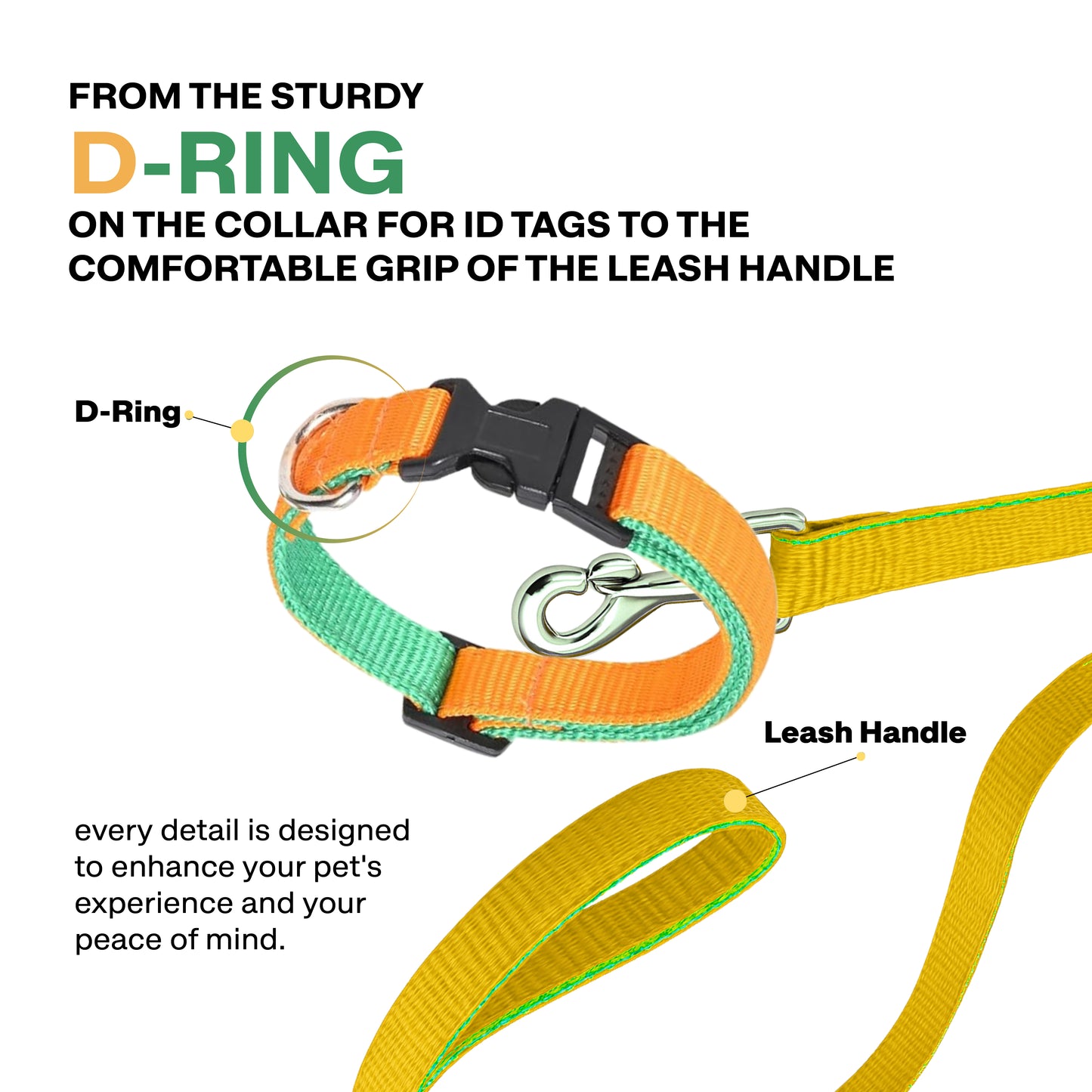 Dog collar and leash set with labeled D-ring and leash handle on a white background