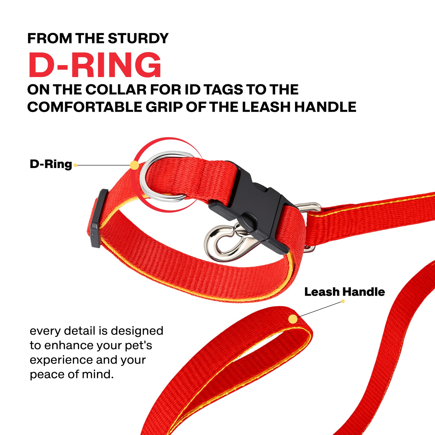 Red dog collar and leash with labeled D-ring and leash handle on a white background