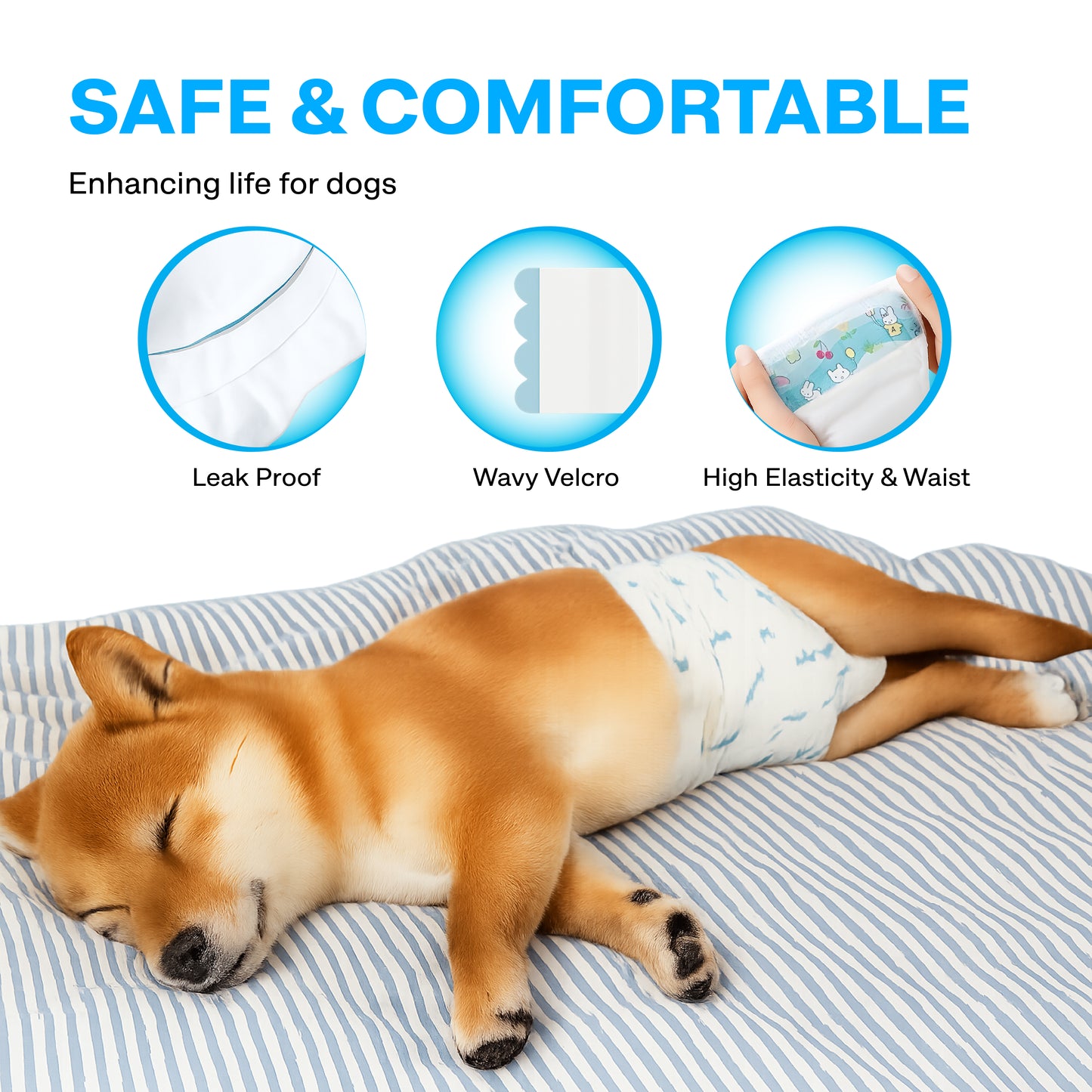 Dog wearing a diaper with text 'Safe & Comfortable' and icons indicating features.