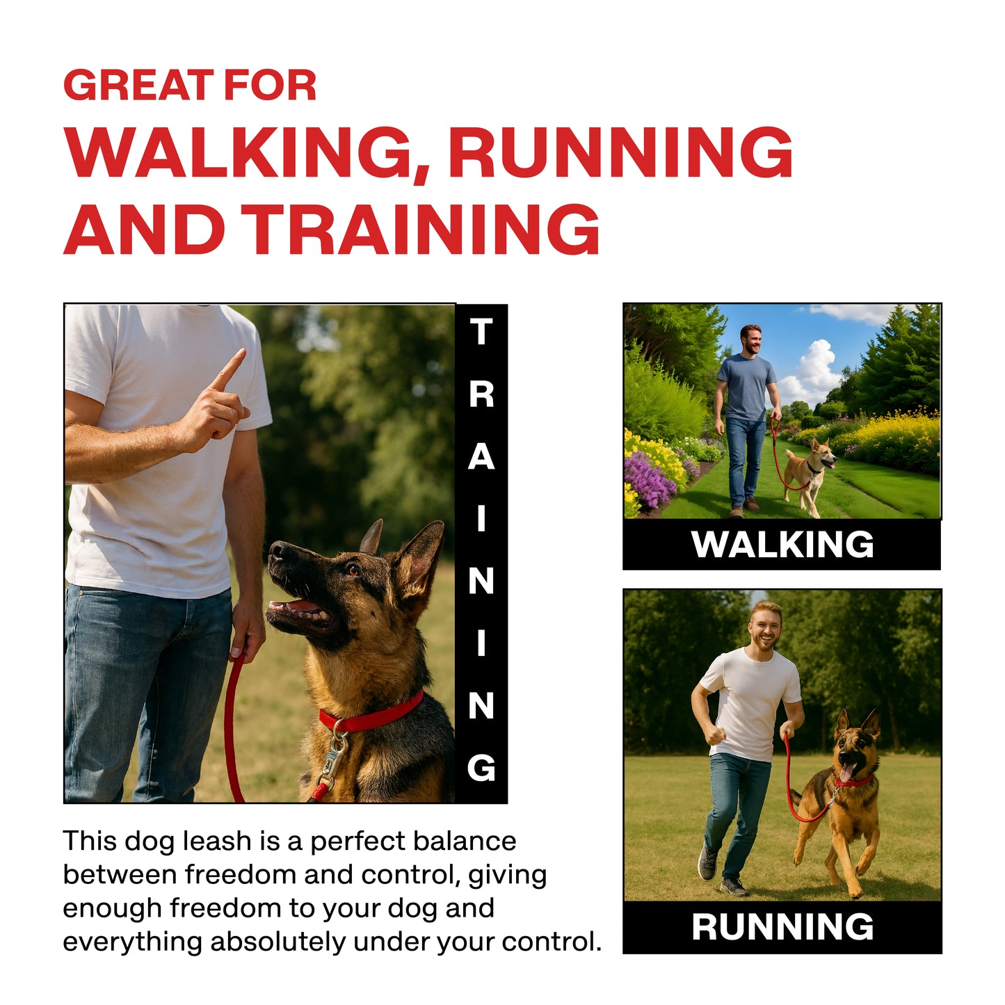 Dog leash advertisement with text 'Great for Walking, Running and Training' and images of a man walking and training a dog.