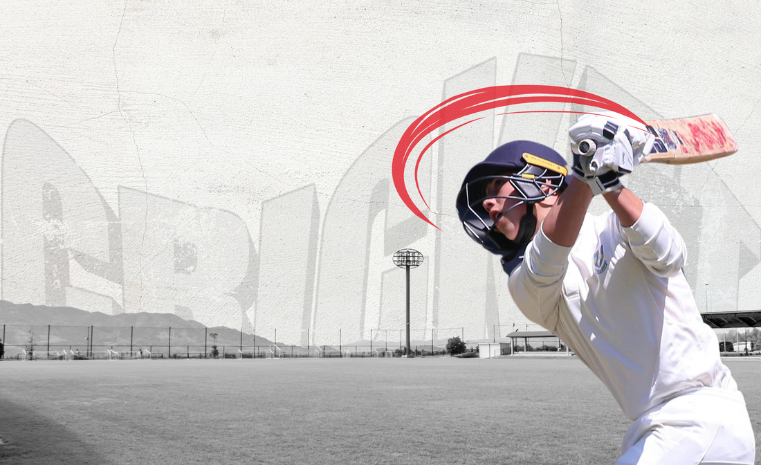 How Do International Cricketers Choose Their Cricket Bat: Key Factors For Choosing The Right Cricket Bat