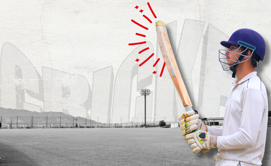 Cricket Bat Maintenance and Care: Tips to Extend the Life of Your Bat