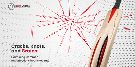 Cracks, Knots, and Grains: Examining Common Imperfections in Cricket bats