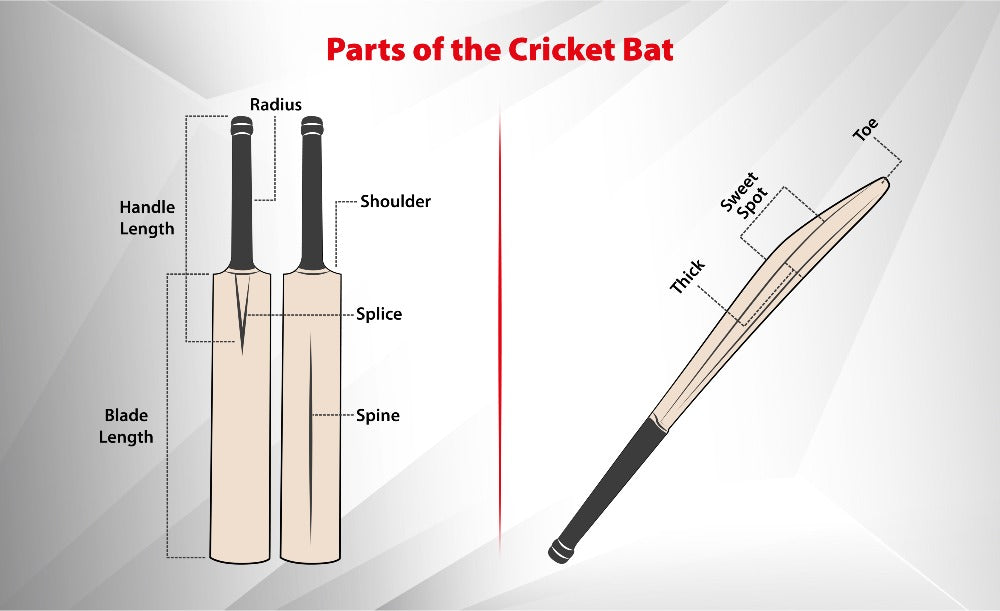 Structure Of Cricket Bat: Exploring the Key Components of a Cricket Bat