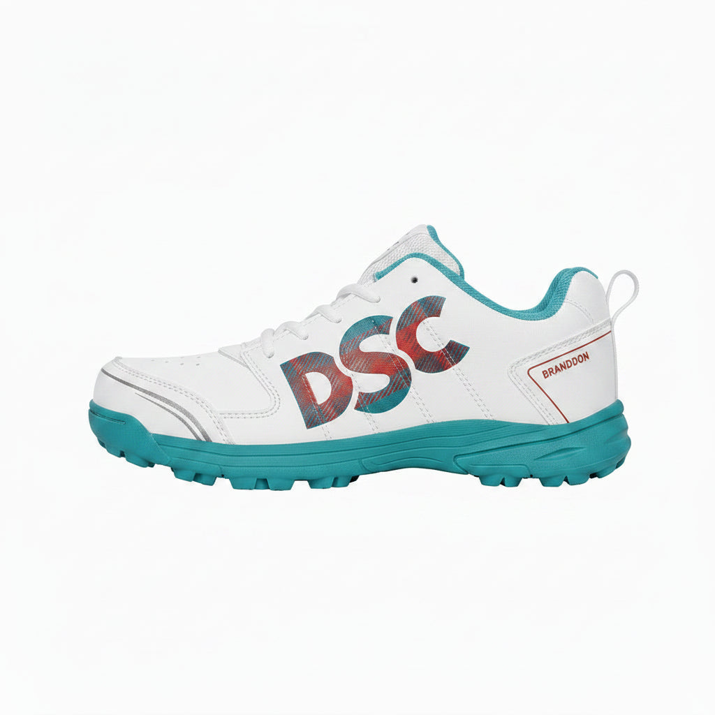 DSC Cricket shoes