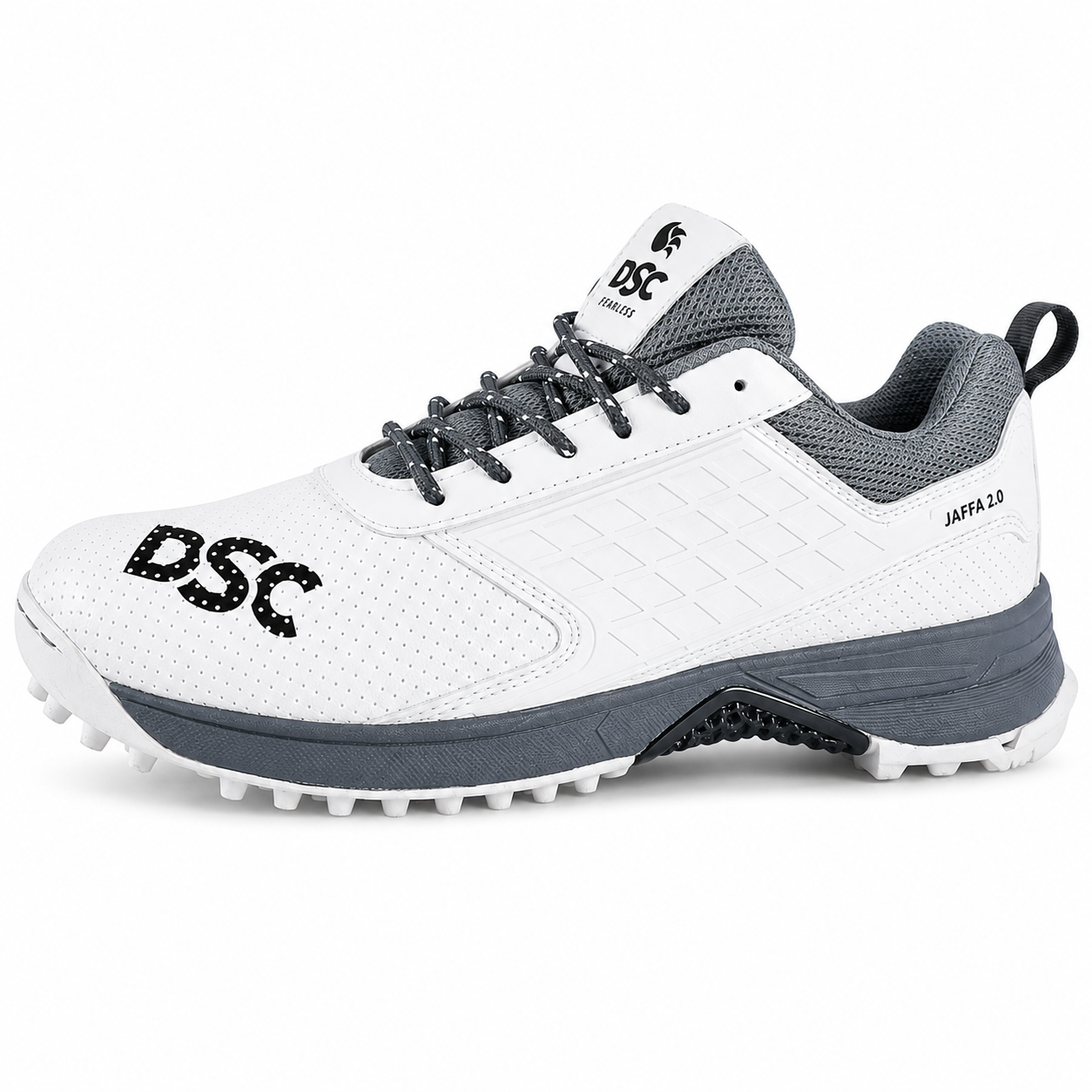 DSC Cricket Shoes