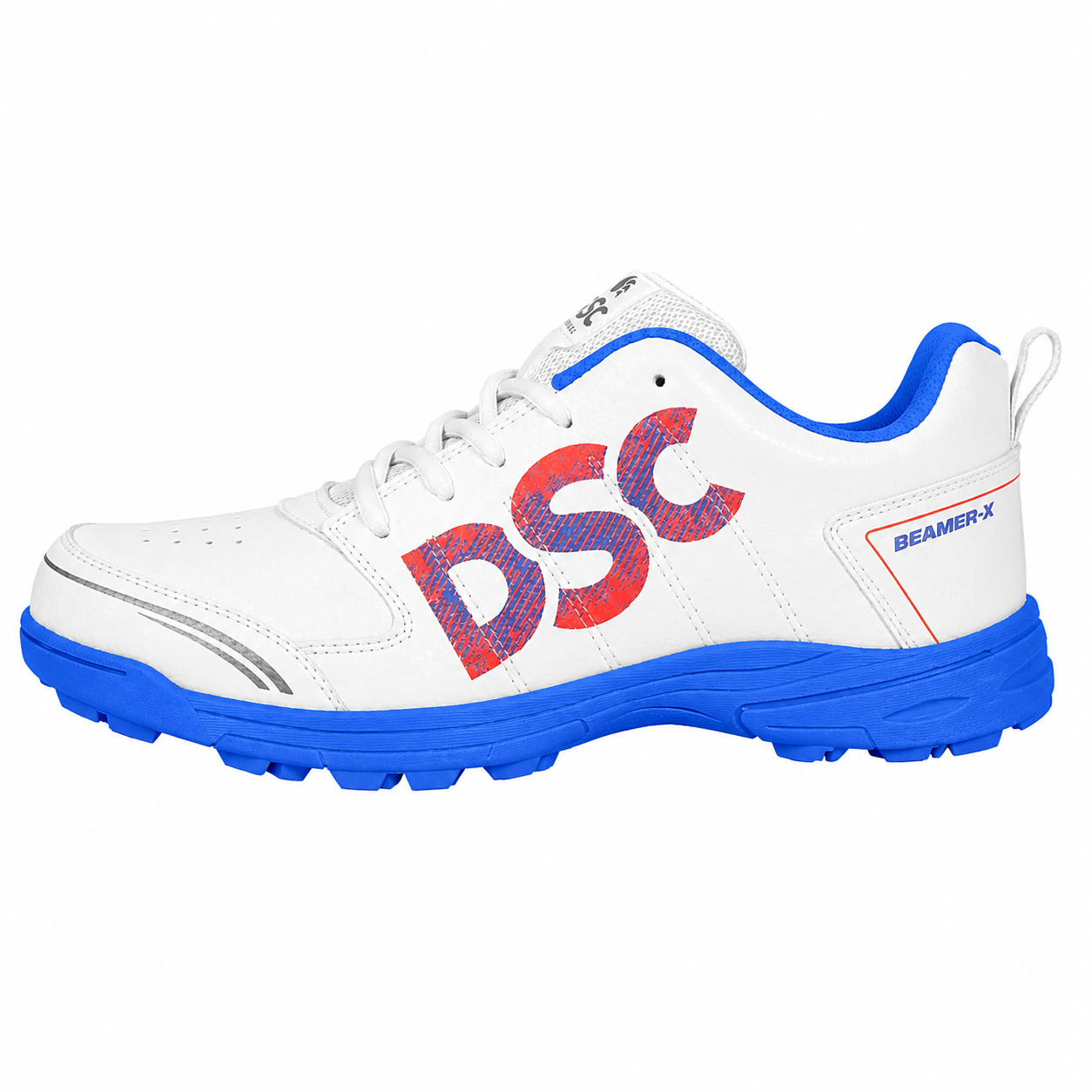 DSC Cricket shoe