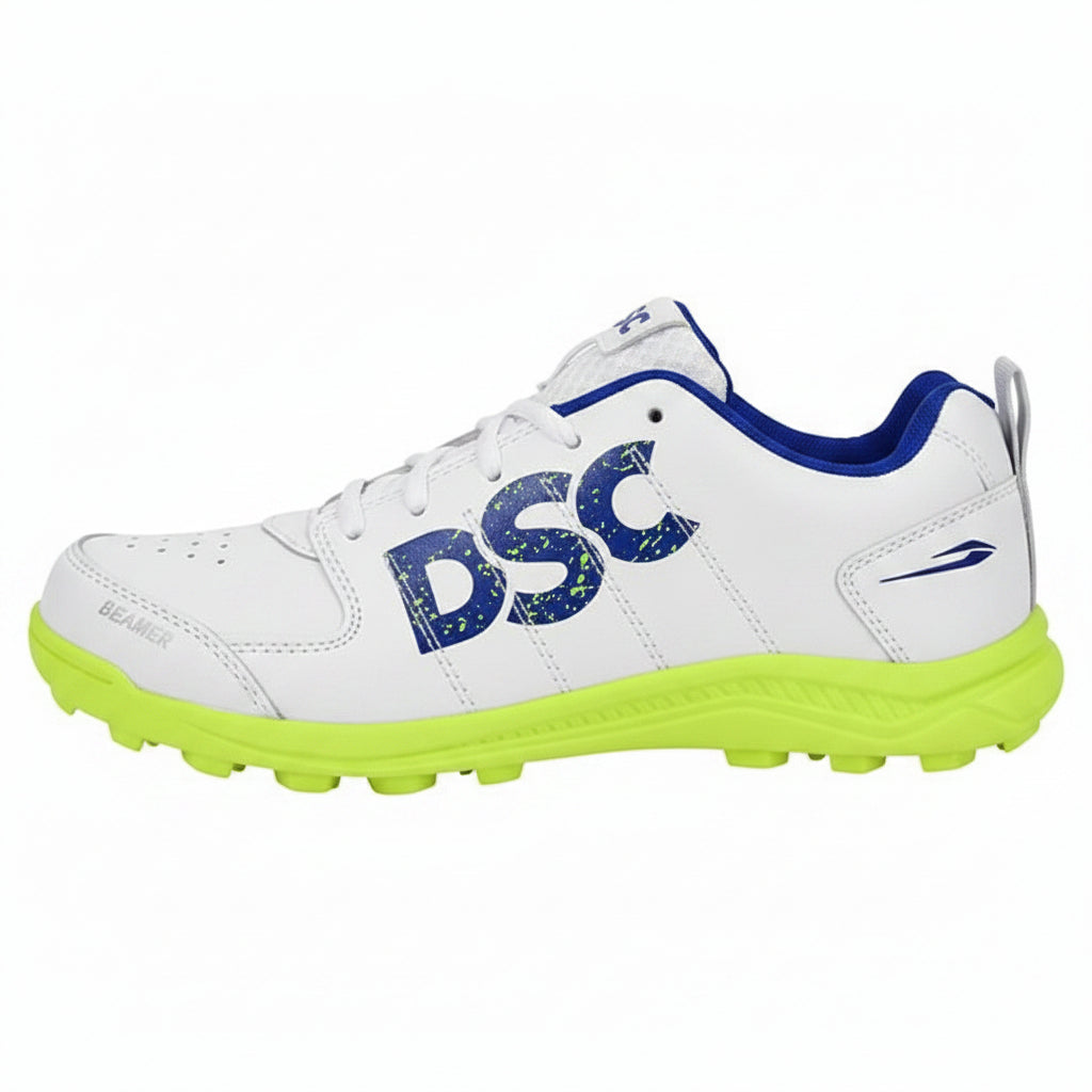DSC Cricket Shoes