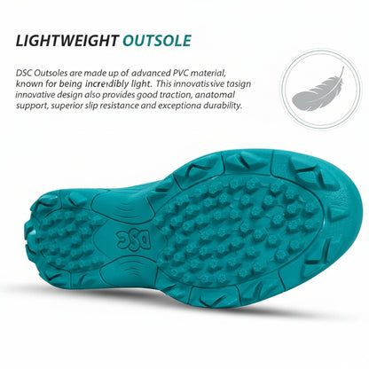 DSC Cricket shoes