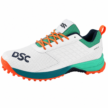 DSC Cricket Shoes