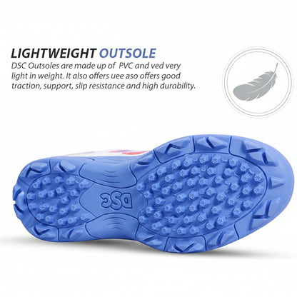 DSC Cricket shoe