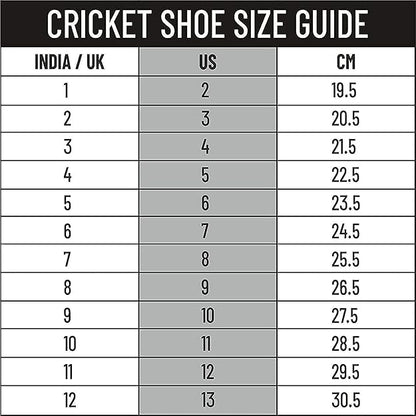 DSC Cricket Shoes