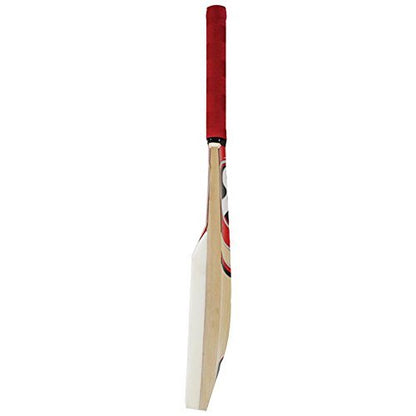 Sanspareils Greenlands Catch Cricket Bat