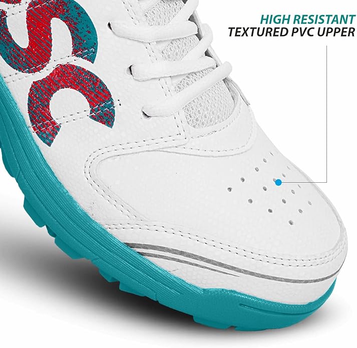 DSC Cricket shoes