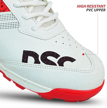 DSC Cricket Shoes