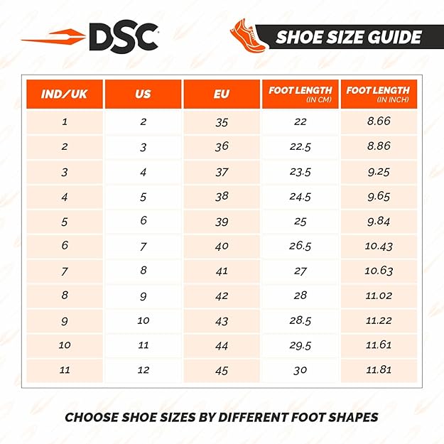 DSC Cricket Shoes