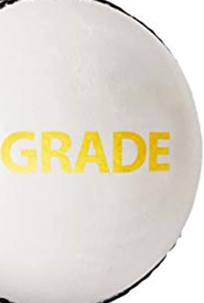 DSC Grade Leather Cricket Ball | Size: Standard | Water Proofed | Suitable for Practice Game | Tournament Cork