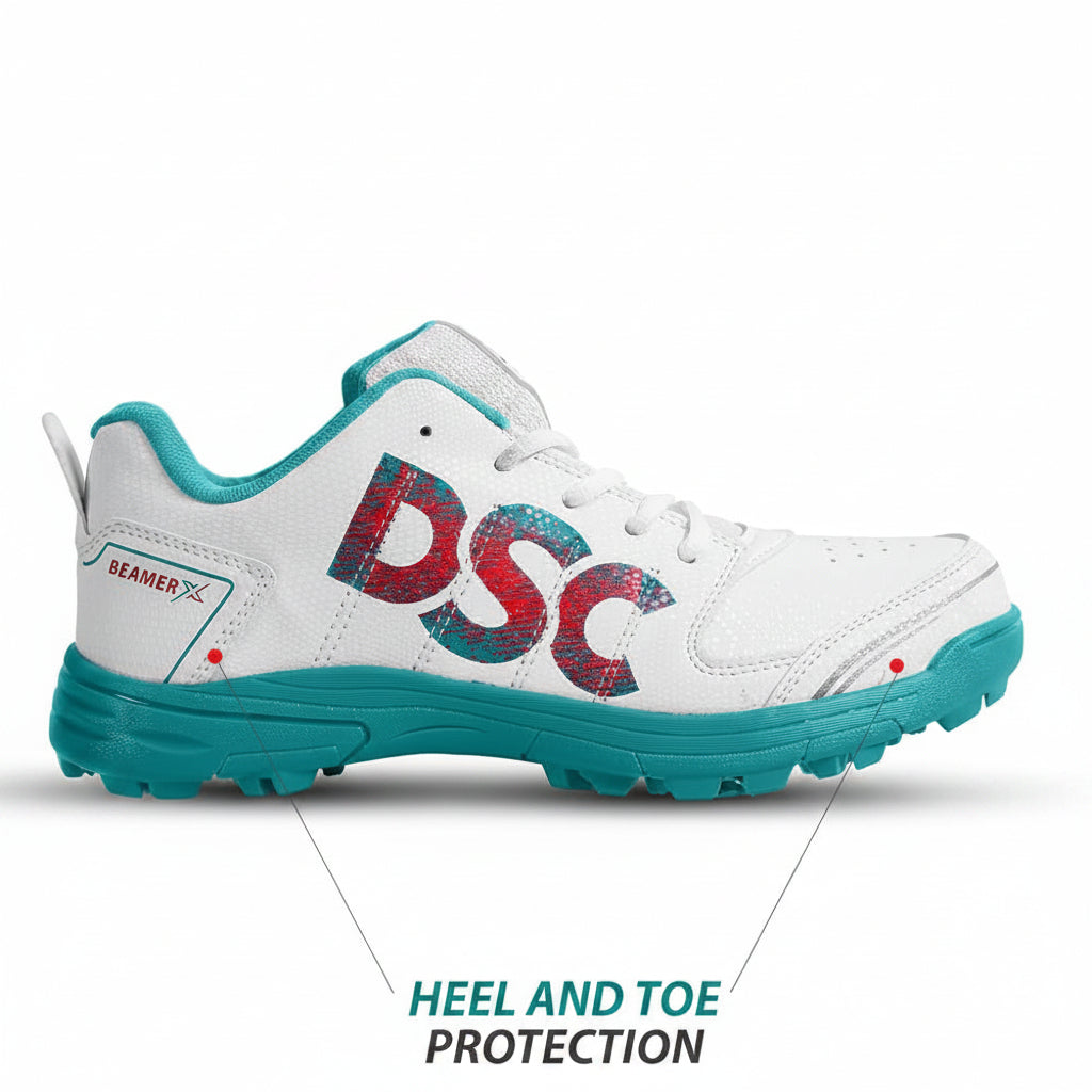 DSC Cricket shoes