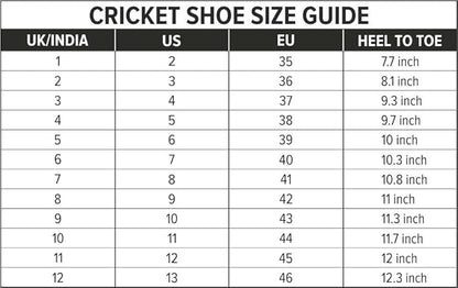 DSC Belter Cricket Sport Shoes | for Men and Boys | Closure: Lace-Up | Lightweight Outsole | Durable & Comfortable | Superior Grip | Eva Sock Liner