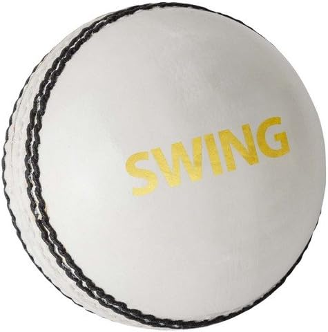 DSC Swing Leather Cricket Ball | Color: White | Size: Standard | Water Proofed | Good Shape Retention | Four Piece Construction | Ideal for School and Club Matches