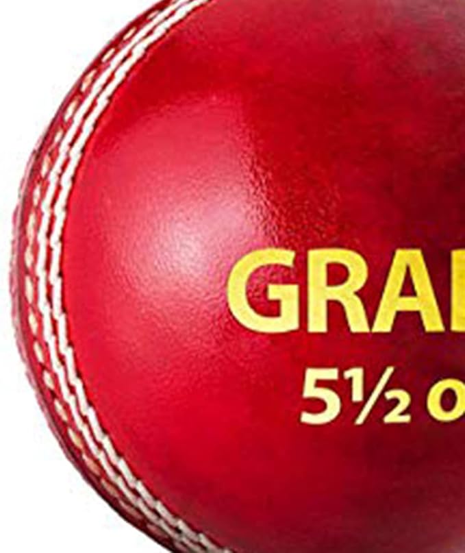 DSC Grade Leather Cricket Ball | Size: Standard | Water Proofed | Suitable for Practice Game | Tournament Cork