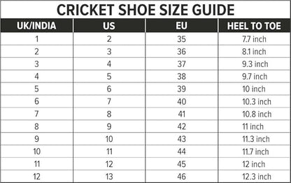 DSC Zooter Cricket Sport Shoes | Material: Polyvinyl Chloride | for Men & Boys | Lightweight | Improved Stability in The Game