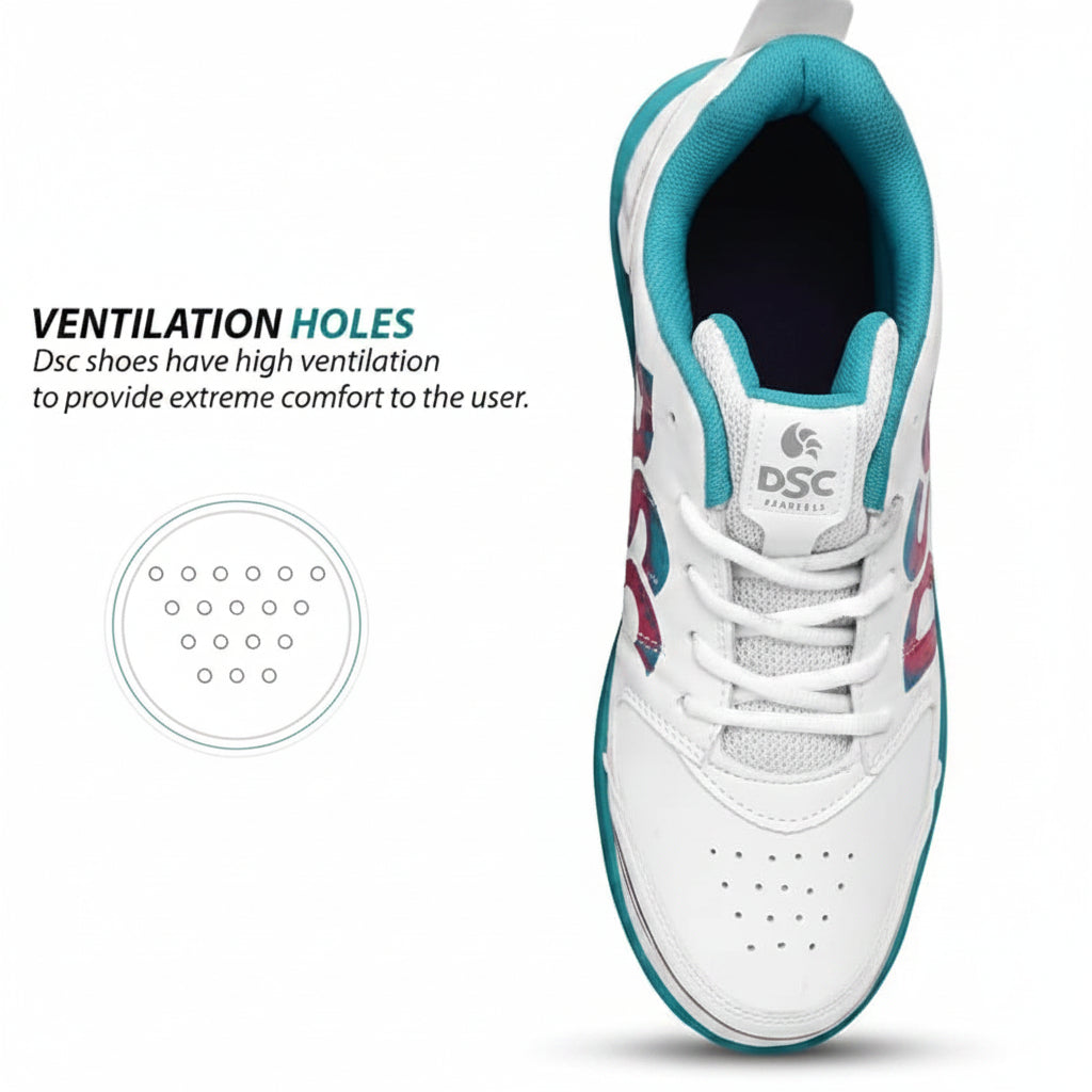 DSC Cricket shoes