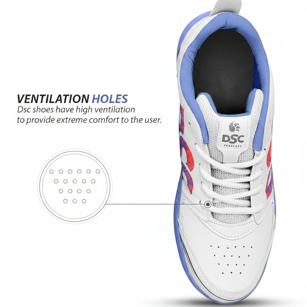 DSC Cricket shoe