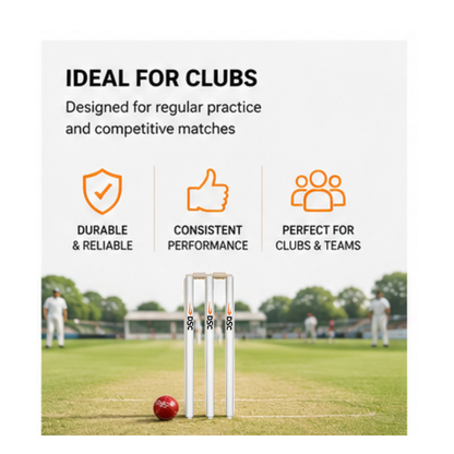 DSC Duco Finish Cricket Stumps Set