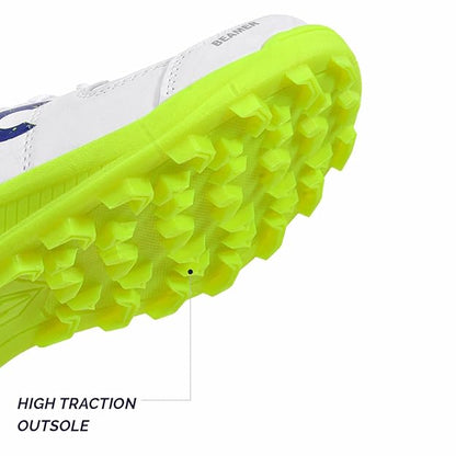 DSC Cricket Shoes