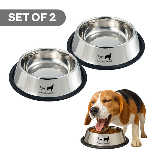Set of two stainless steel dog bowls with a dog eating from one of them on a white background.