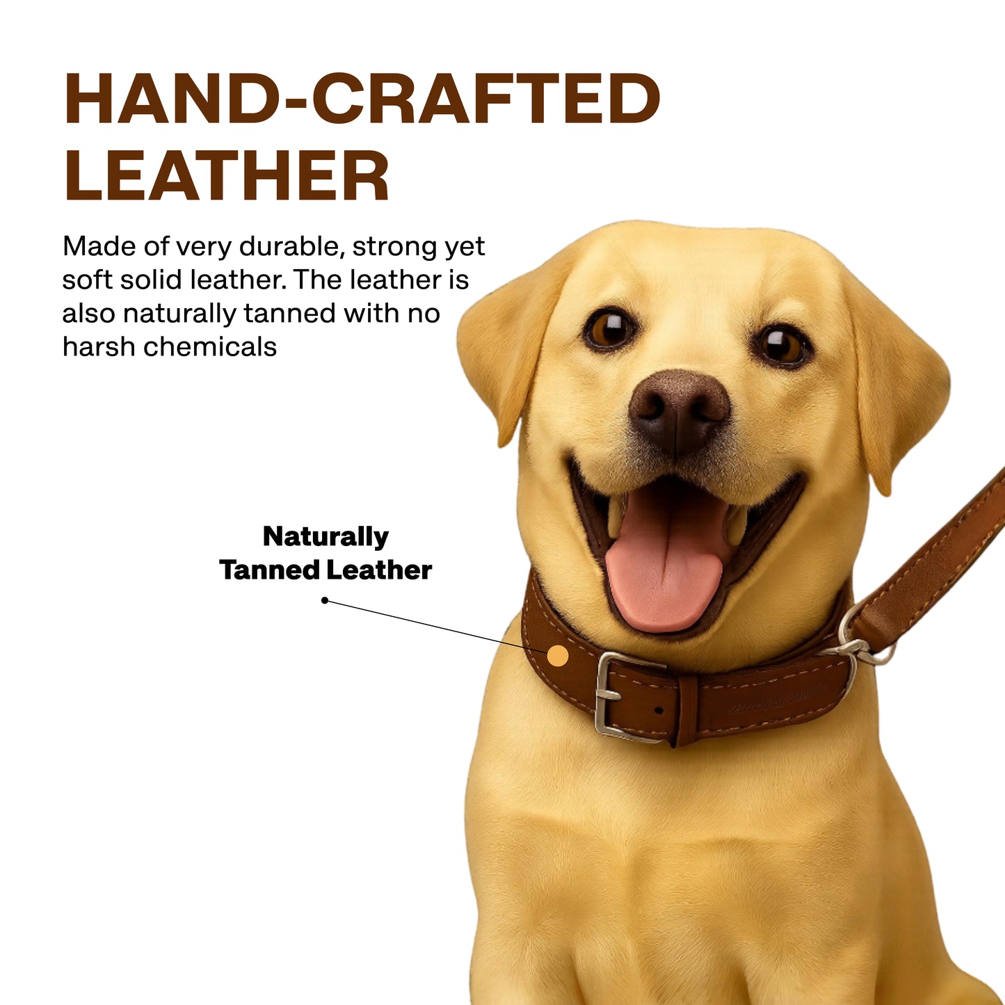 Dog wearing a brown leather collar with text about hand-crafted leather.
