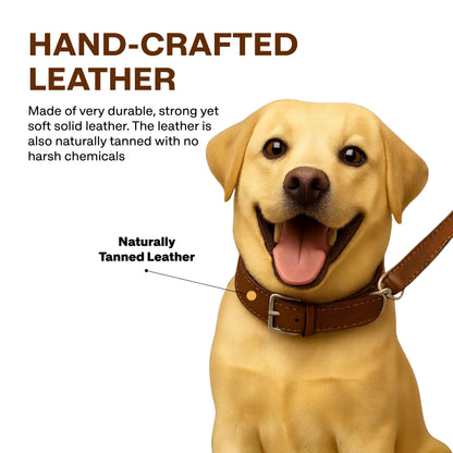 Dog wearing a brown leather collar with text about hand-crafted leather.
