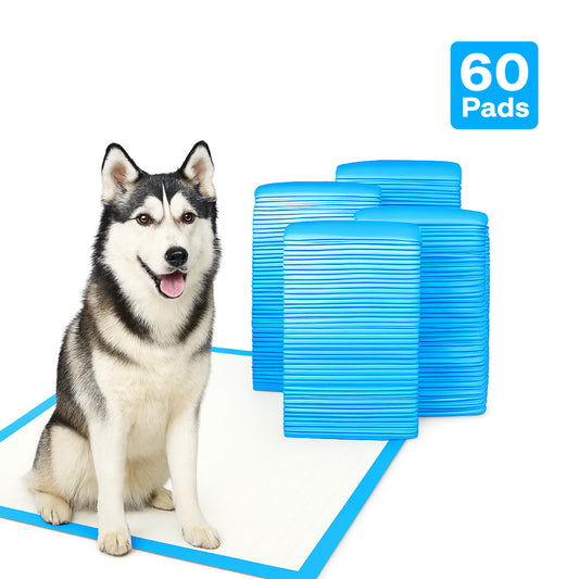 Dog sitting next to multiple blue pads with a '60 Pads' label on a white background