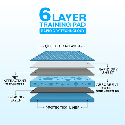 Layers of a 6-layer training pad with rapid dry technology