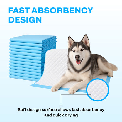 Stack of blue dog pads with a dog lying on one, highlighting fast absorbency design.