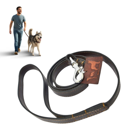Dog leash with metal clasp and leather handle on a white background