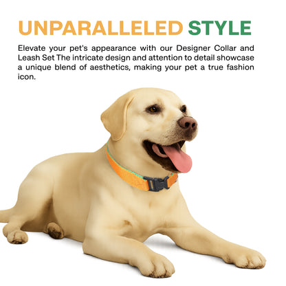 Dog wearing a designer collar with text about style and design.
