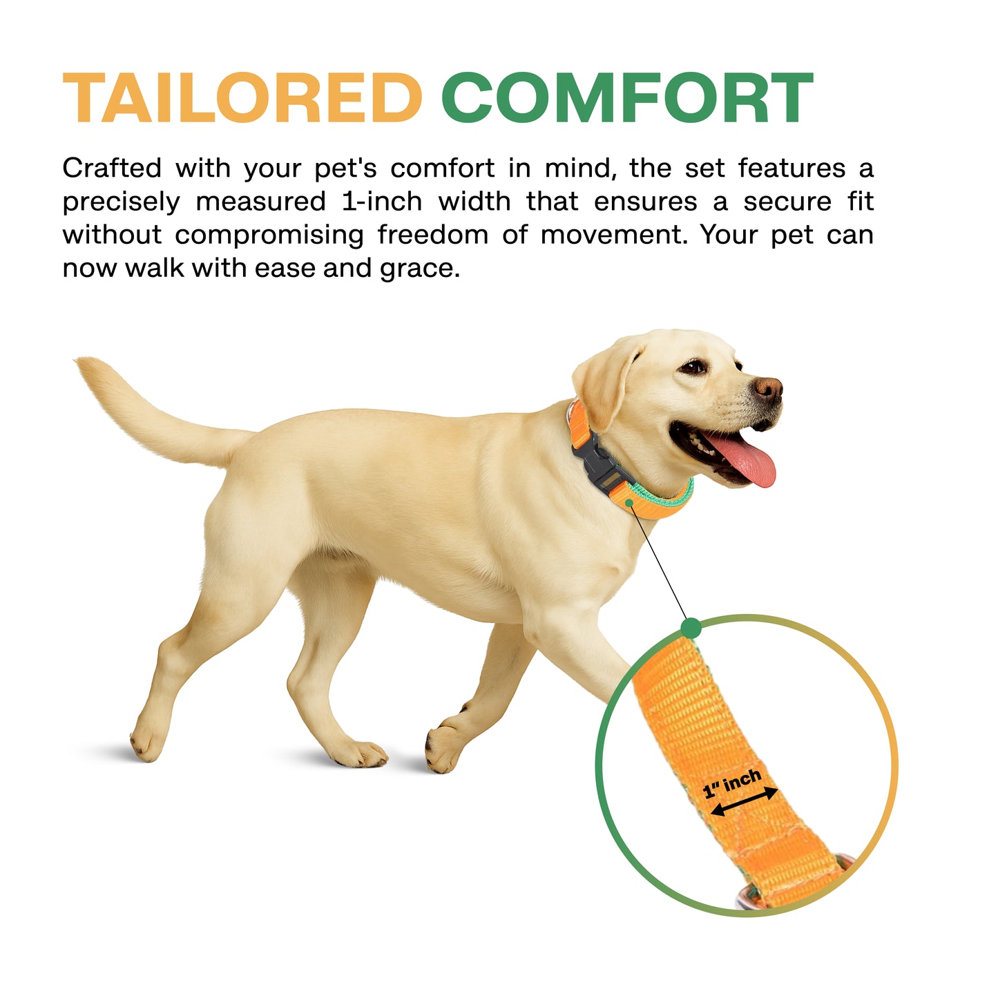 Dog wearing a collar with a leash, featuring text about tailored comfort.