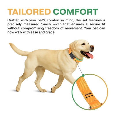 Dog wearing a collar with a leash, featuring text about tailored comfort.