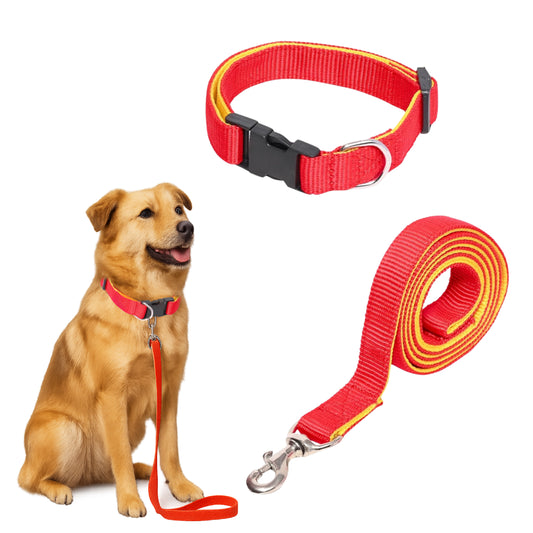 Dog with a red collar and leash on a white background