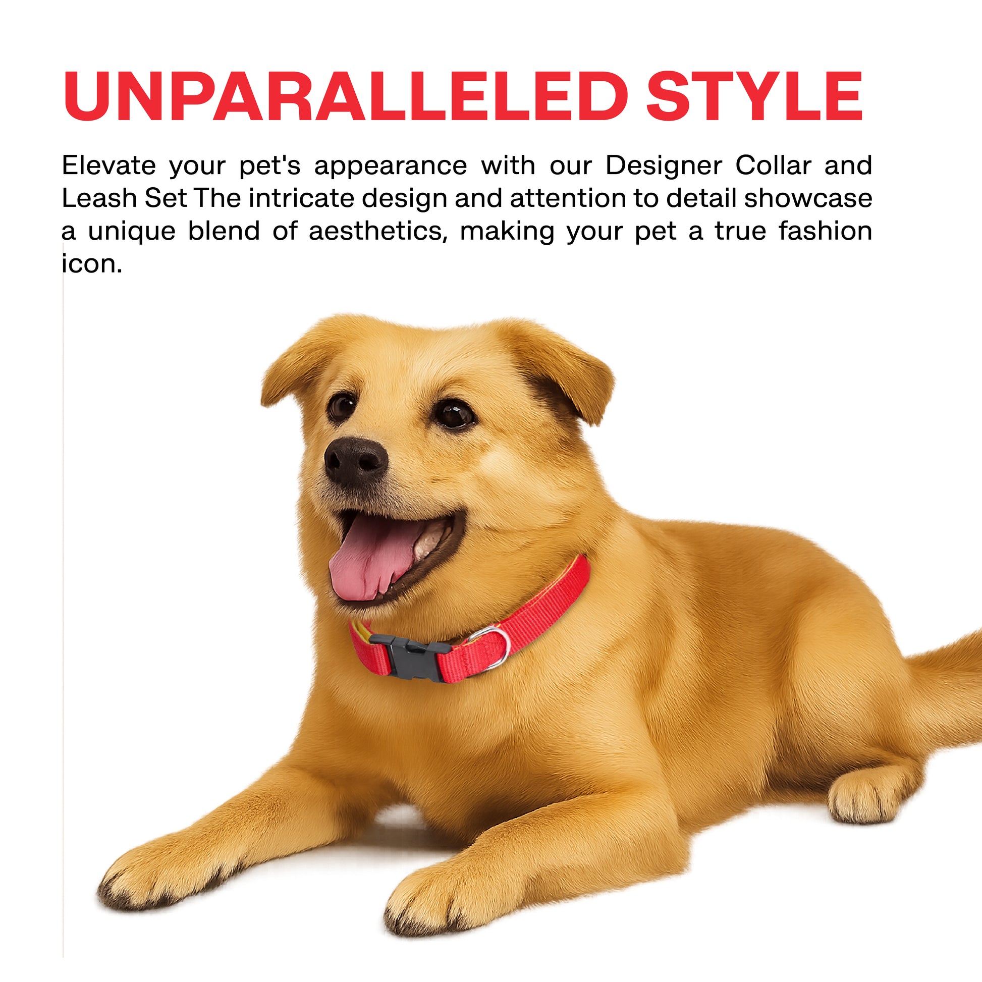 Dog wearing a red collar with text about a designer collar and leash set on a white background