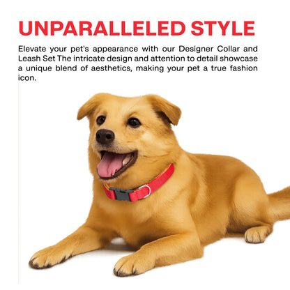 Dog wearing a red collar with text about a designer collar and leash set on a white background